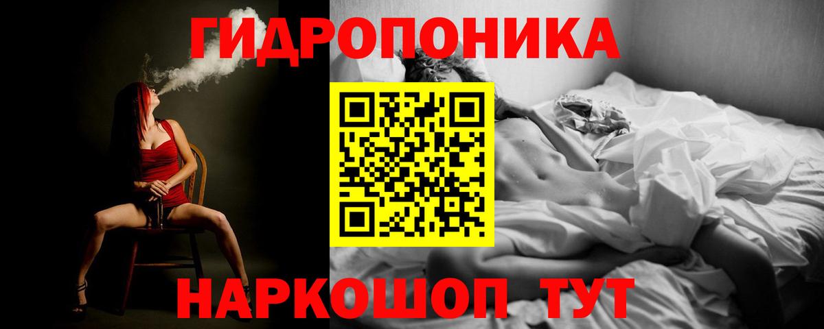 Каннабис семена Ноябрьск